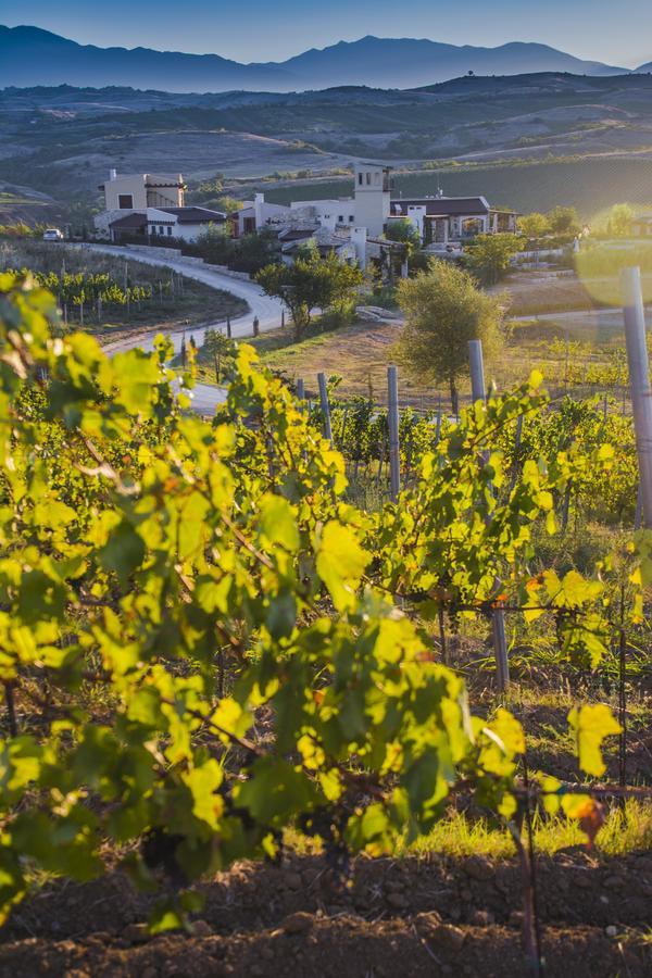 Zornitza Family Estate Relais & Chateaux 멜닉 외부 사진